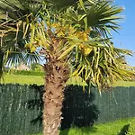 La De , De Charme Avec Jardin ,piscine Nature, Jacuzzi , Petanque, Fitness, Billard,ping Pong, Seny