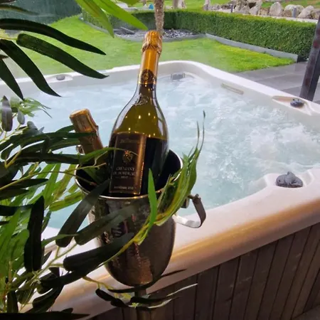 La De , De Charme Avec Jardin ,piscine Nature, Jacuzzi , Petanque, Fitness, Billard,ping Pong, Seny