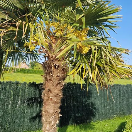 La De , De Charme Avec Jardin ,piscine Nature, Jacuzzi , Petanque, Fitness, Billard,ping Pong, Seny