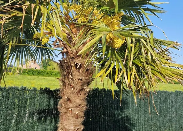 La De , De Charme Avec Jardin ,piscine Nature, Jacuzzi , Petanque, Fitness, Billard,ping Pong, Seny