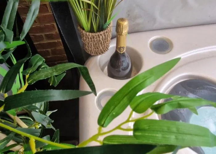 La De , De Charme Avec Jardin ,piscine Nature, Jacuzzi , Petanque, Fitness, Billard,ping Pong, Seny