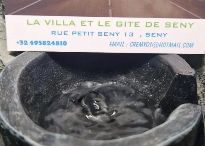 La De , De Charme Avec Jardin ,piscine Nature, Jacuzzi , Petanque, Fitness, Billard,ping Pong, Vakantiehuis Seny